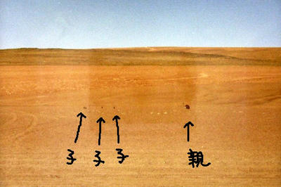 rea01.jpg