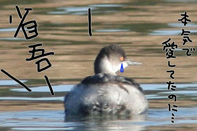 CIMG6125.JPG