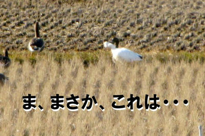IMG_1873.jpg