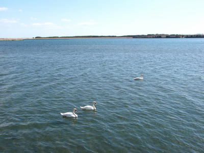 IMG_3346.JPG