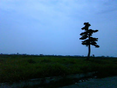 TS3W0147.jpg