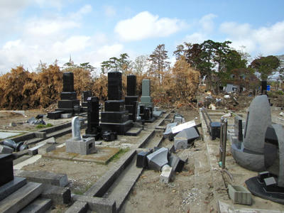 173253f1.jpg