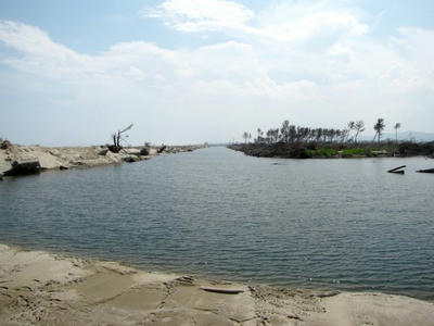 IMG_3204.jpg