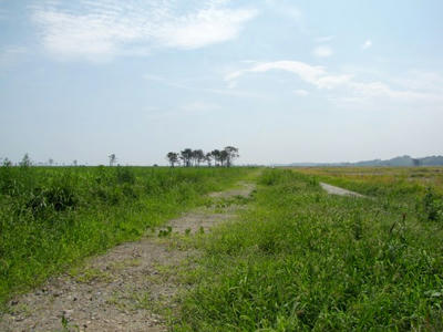 IMG_3172.jpg