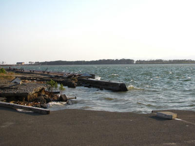 IMG_3286.JPG