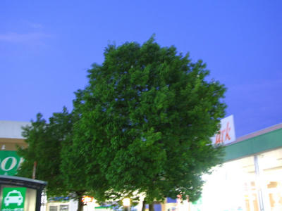 IMG_3359.JPG