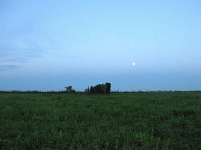 IMG_5960.jpg
