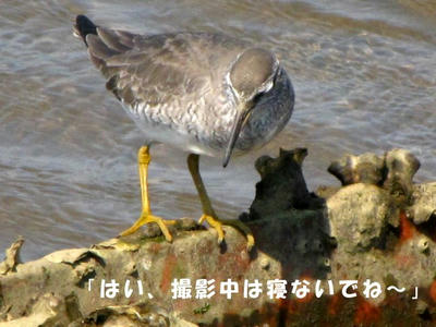 IMG_5779.jpg