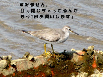 IMG_5768.jpg