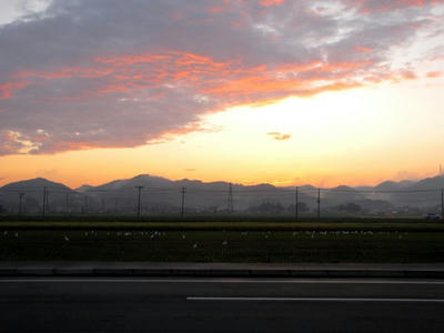 IMG_6112.jpg