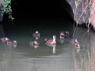 IMG_6183.jpg