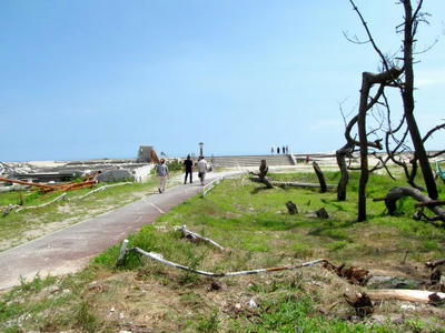 IMG_5987.jpg