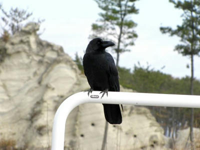 IMG_6878.jpg