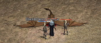2008-11-12-5.png
