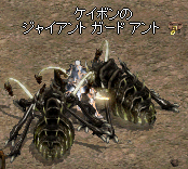 2009-02-20-3.png