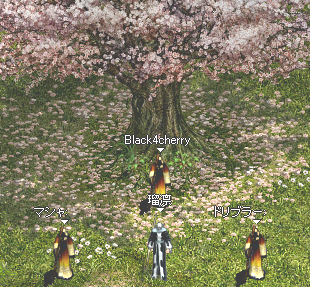 2009-05-21-ruri50-4.PNG