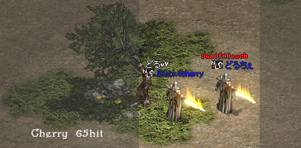 2009-02-cherry-65-2-1.png