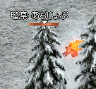 2009-05-21-ruri50-5.PNG
