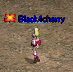 2009-06-29-9.PNG