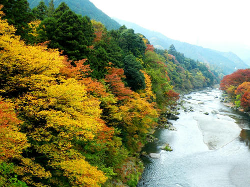 okutama081115_016.jpg