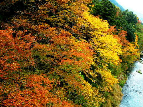 okutama081115_018.jpg