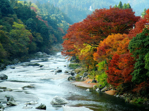 okutama081115_023.jpg