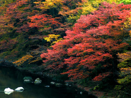 okutama081115_025.jpg