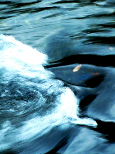okutama081115_047.jpg