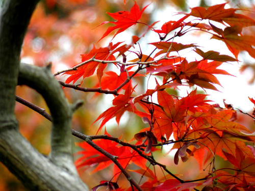 okutama081115_055.jpg