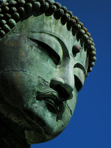 kamakura081122_002.jpg