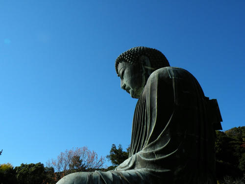 kamakura081122_004.jpg