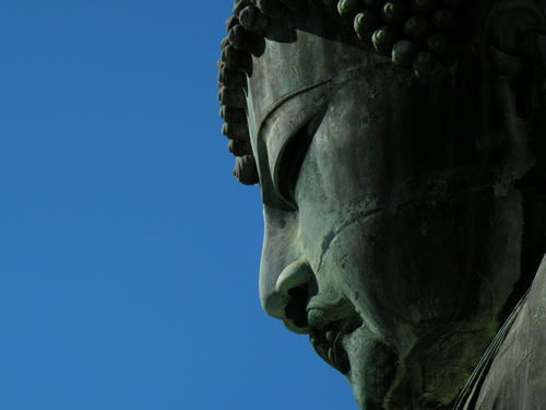 kamakura081122_006.jpg