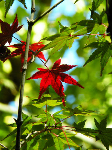 kamakura081122_009.jpg