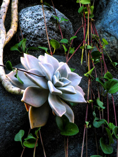 kamakura081122_012.jpg