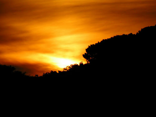 kamakura081122_020.jpg