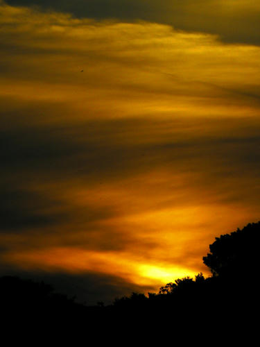 kamakura081122_021.jpg
