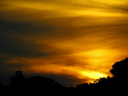 kamakura081122_022.jpg