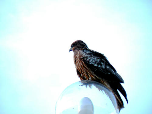 kamakura081122_024.jpg