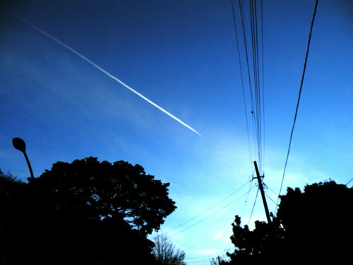 kamakura081122_027.jpg