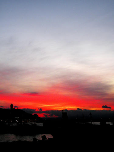 kamakura081122_028.jpg