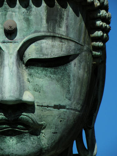 kamakura081122_036.jpg