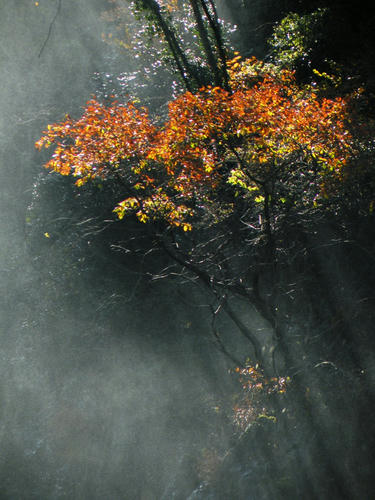 okutama081123_001.jpg
