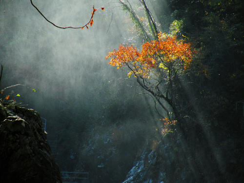okutama081123_002.jpg