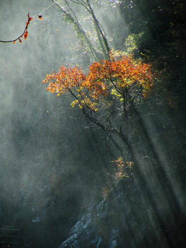 okutama081123_003.jpg