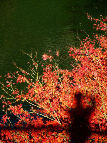 okutama081123_008.jpg