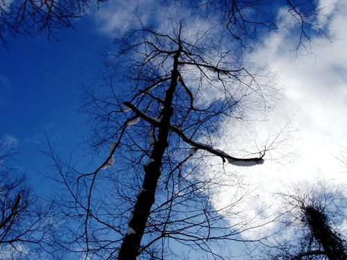 P1010168.JPG