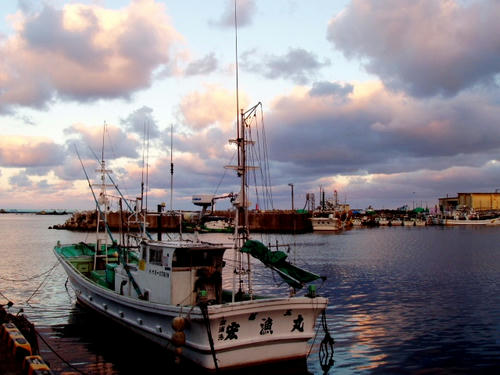 P1010515.JPG