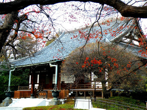 kinjo081206_005.jpg
