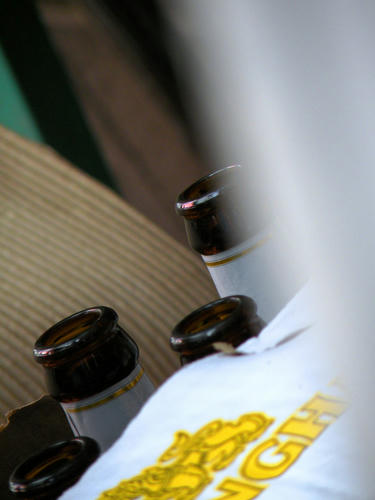 kinjo081206_007.jpg