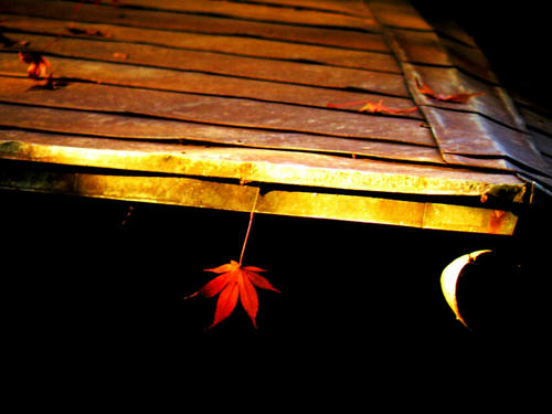 kinjo081206_017.jpg